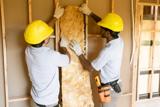 Best Attic Insulation Installation  in Paintsville, KY